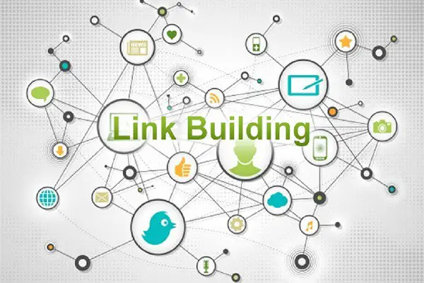 SEO; Why Link Building is Important for Business?